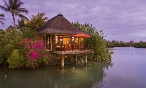 Junior Suite on Stilts